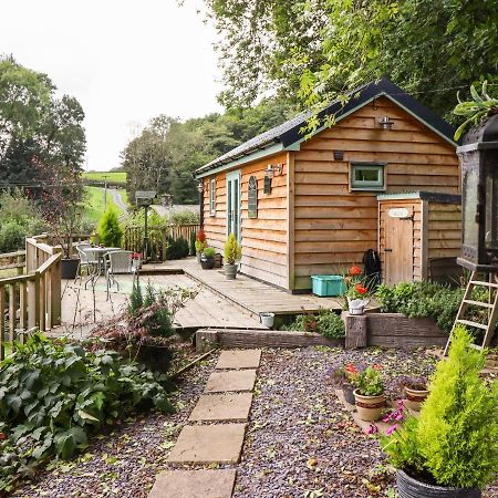 Chateau Petit Caersws エクステリア 写真