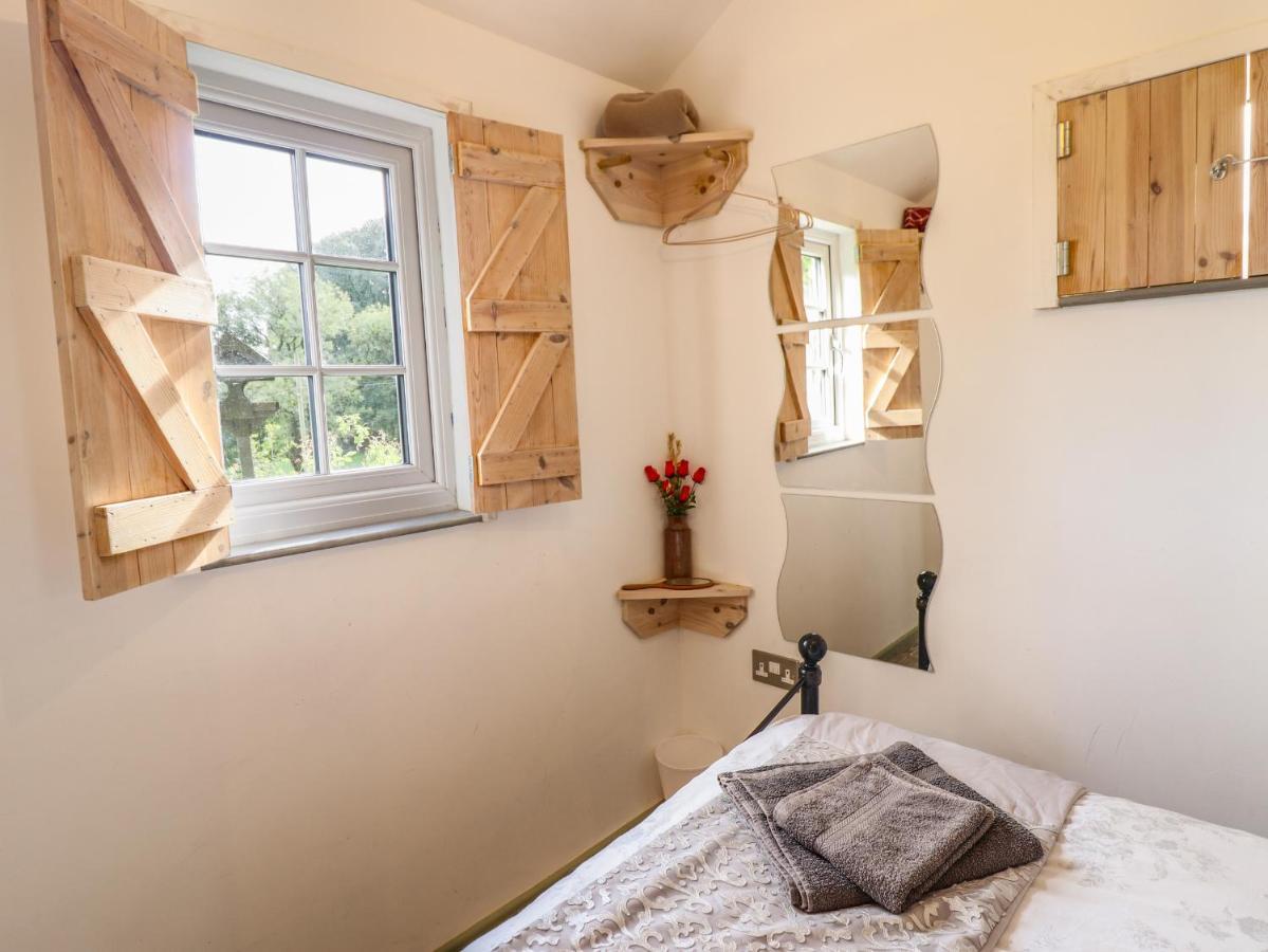 Chateau Petit Caersws エクステリア 写真
