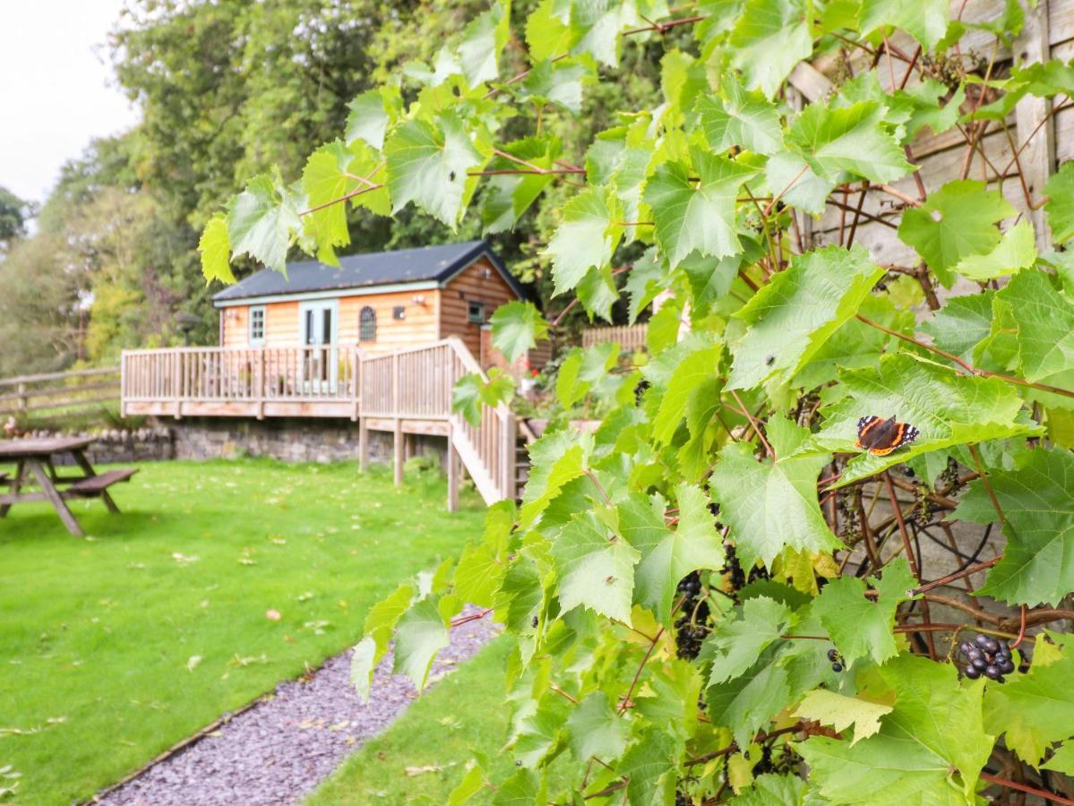 Chateau Petit Caersws エクステリア 写真
