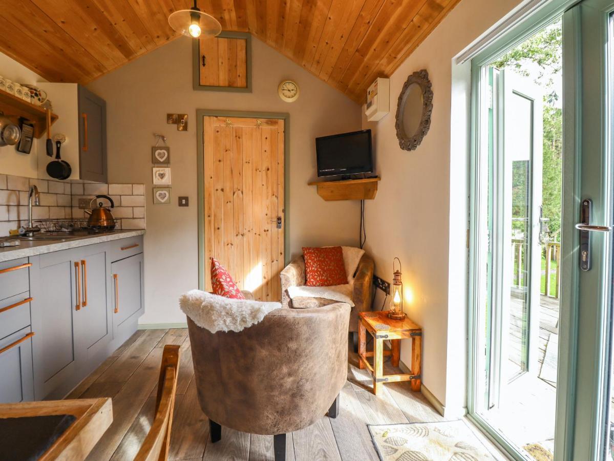 Chateau Petit Caersws エクステリア 写真
